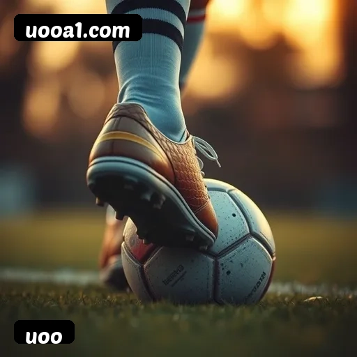 6 vantagens exclusivas do programa VIP da uoo